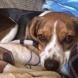 Meet your Posher, Jaden